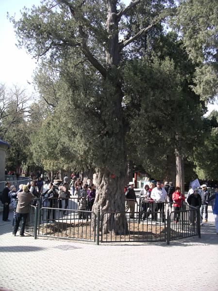 China 2010 021.JPG